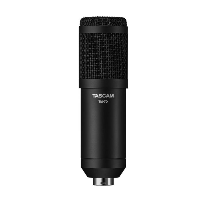 Tascam Microphone