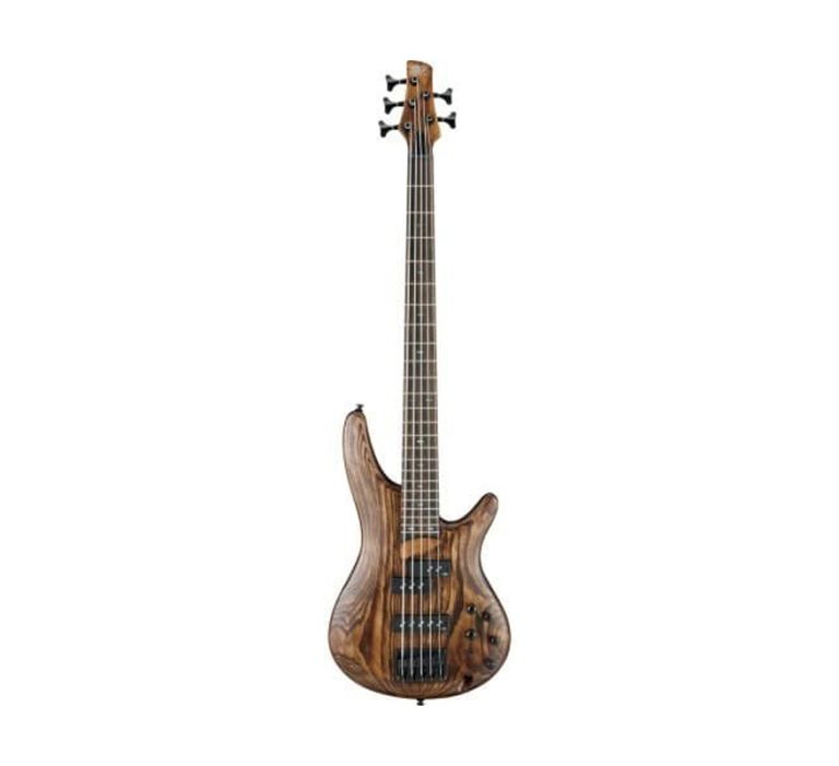 Ibanez Bass