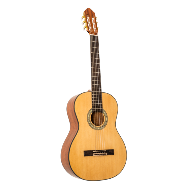 PEAVEY DELTA WOODS CNS-1 CLASSICAL NYLON STRING ACOUSTIC - Gambar 2