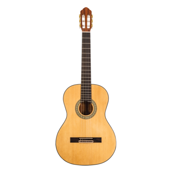 PEAVEY DELTA WOODS CNS-1 CLASSICAL NYLON STRING ACOUSTIC