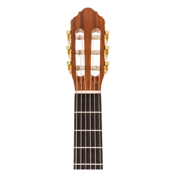 PEAVEY DELTA WOODS CNS-1 CLASSICAL NYLON STRING ACOUSTIC - Gambar 5