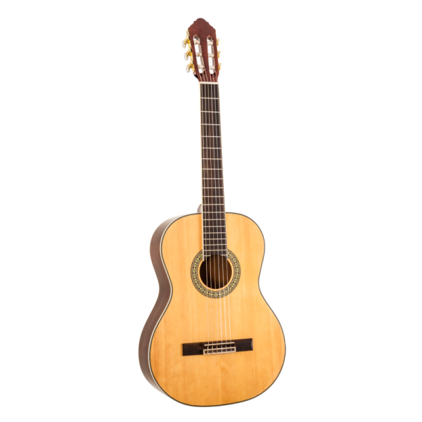 PEAVEY CNS-2 CLASSICAL NYLON STRING WITH SOLID TOP - Gambar 2