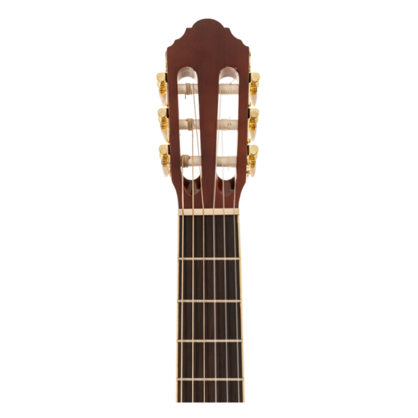 PEAVEY CNS-2 CLASSICAL NYLON STRING WITH SOLID TOP - Gambar 5