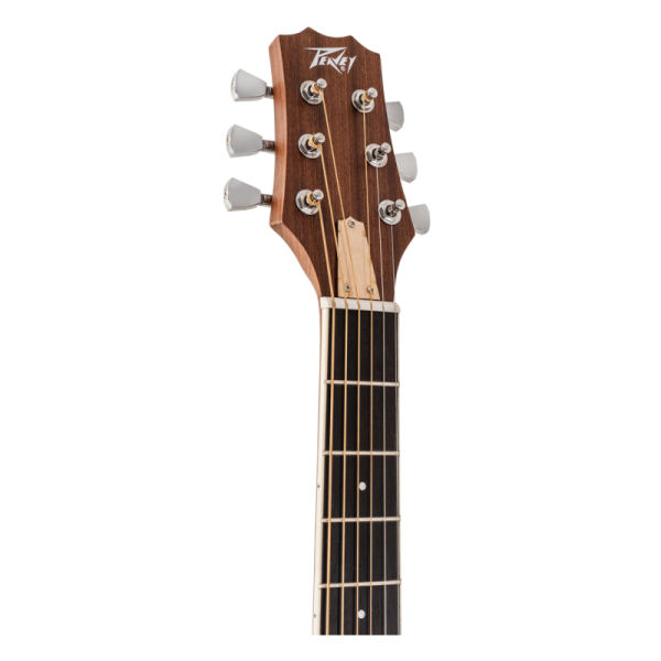 PEAVEY DELTA WOODS DW-2 CE SOLID TOP CUTWAY ACOUSTIC ELECTRIC - Gambar 5