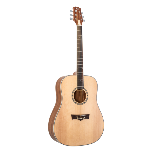 PEAVEY DELTA WOODS DW-2 SOLID TOP DREADNOUGHT ACOUSTIC - Gambar 2