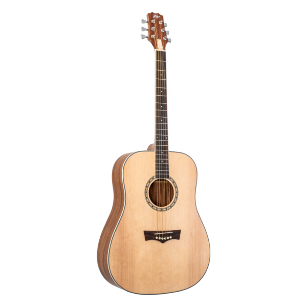 PEAVEY DELTA WOODS DW-2 SOLID TOP DREADNOUGHT ACOUSTIC WITH CASE - Gambar 2