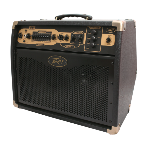 PEAVEY ECOUSTIC E110 WITH FOOTSWITCH - Gambar 3