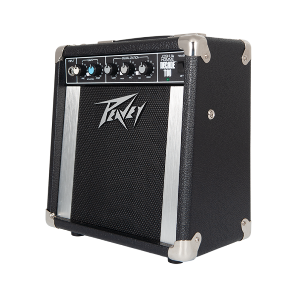 Joshua Homme Decade Too - Guitar Amp Combo - Gambar 2