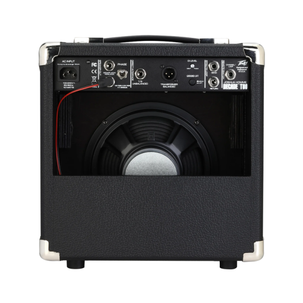 Joshua Homme Decade Too - Guitar Amp Combo - Gambar 4